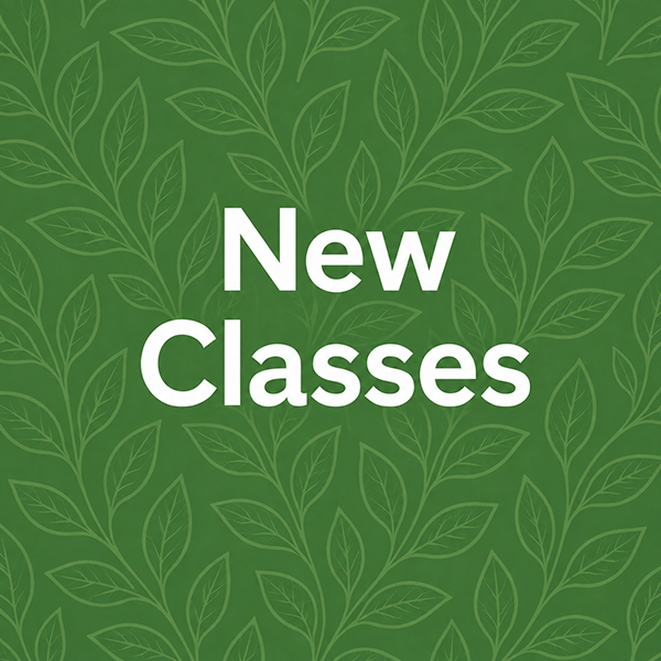NEW CLASSES