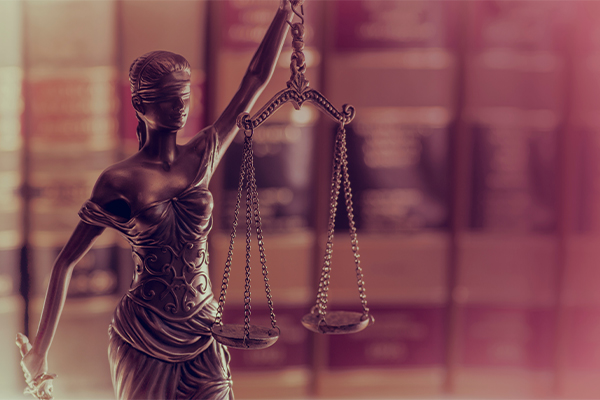 Law & Legal Studies