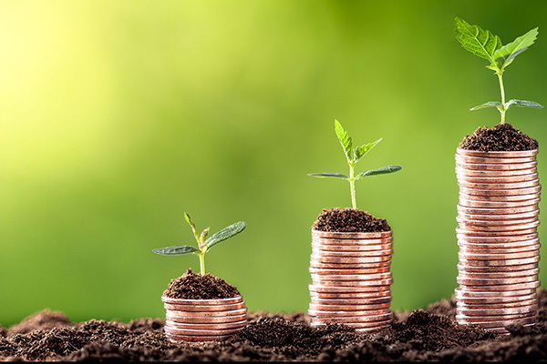 Business & Money Matters