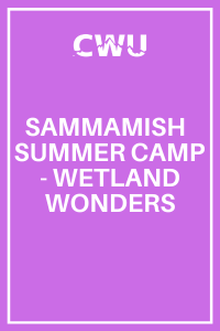 Sammamish Summer Camp - Wetland Wonders
