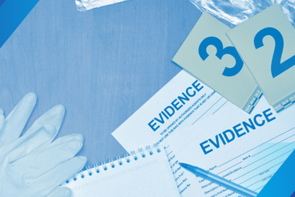 Adult Sex Crimes Investigations