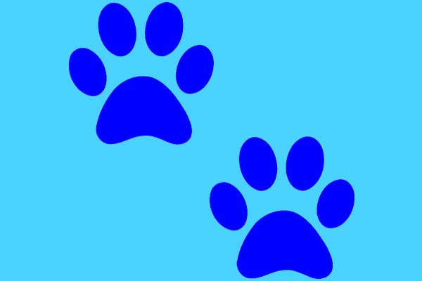 Animal Control Certification Course