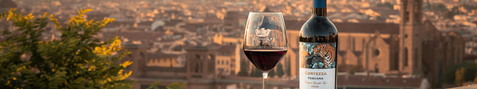 Languages, Wine, and Travel