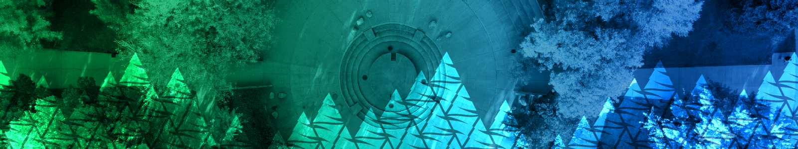 Group in an exercise class