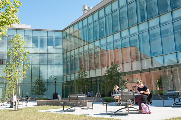 Professional Certificate Programs
