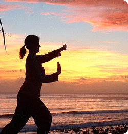 tai chi chih